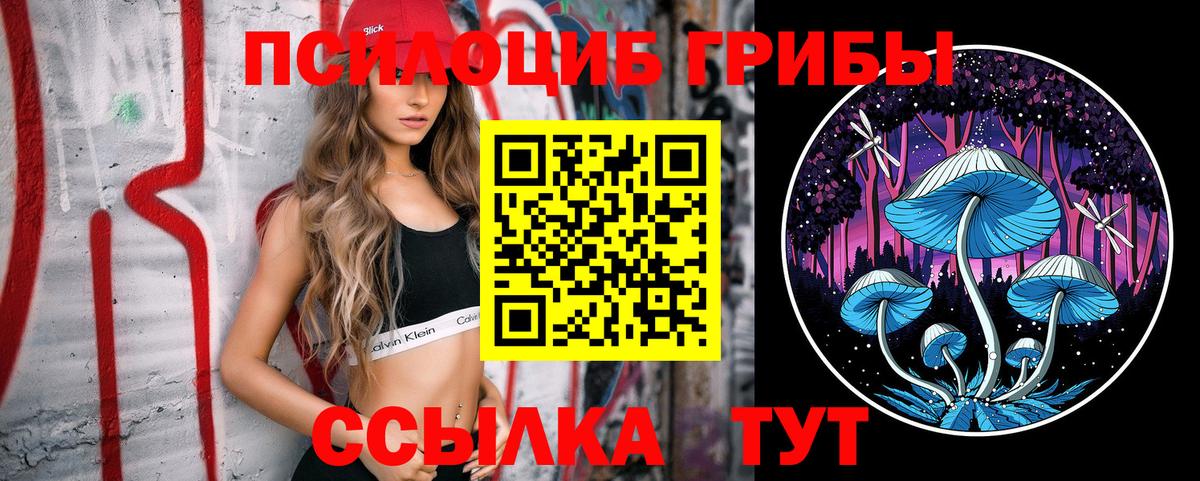Дятьково  купить наркотик  Вход с VPN  Галлюциногенные грибы прущие грибы 